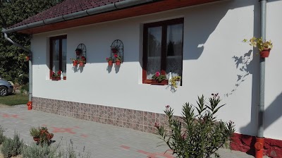 Photos of Nov&aacute;k Panzi&oacute;
