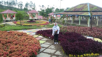 Photos of argowisata strawberry