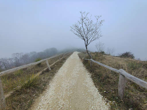 Sentiero n. 5 del Monte Lozzo - Thumbnail