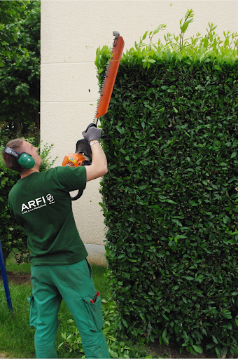 Photo de ARFI Paysagiste Pisciniste 94 à Limeil-Brévannes (94450)