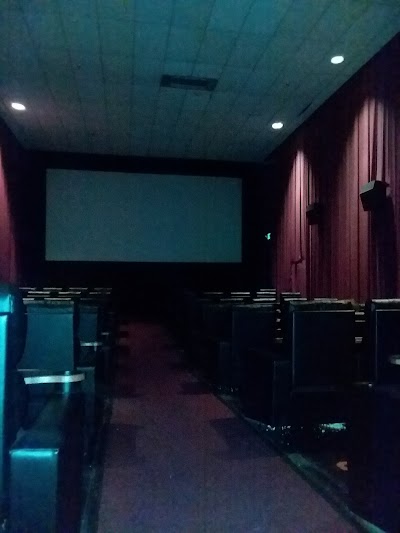 Hot Springs 8 VIP Cinema