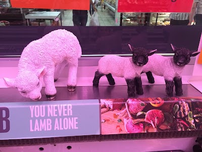 Photos of Swansea Street Markets