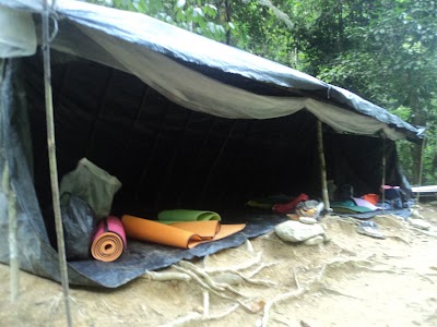 Photos of Bukit lawang planet hijau