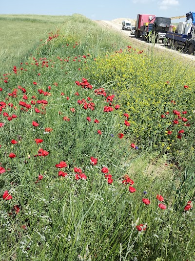Photos of beyaztaş koy&uuml;