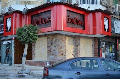 Photos of LionDove