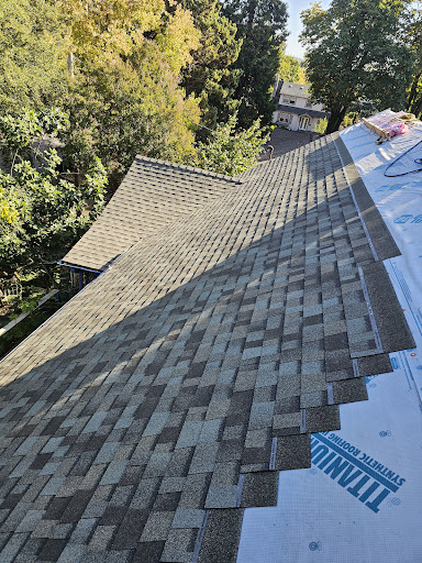 Avatar for Between The Cracks Construction and Roofing