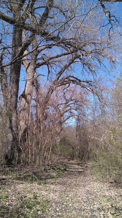 Burt Lake Campground and Wildlife Area