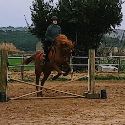 Photo n°11 de Les Cavaliers du Luminaryo à Escales (Centre équestre)