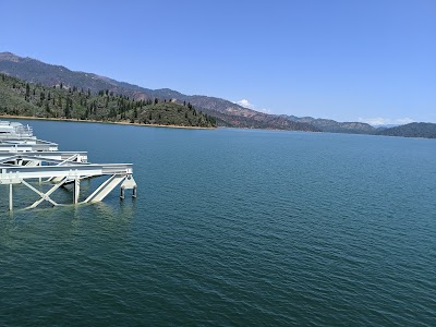 Shasta-Trinity National Forest