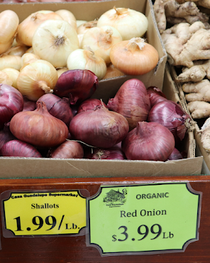 Casa Guadalupe by null