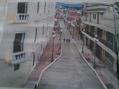 Photos of La Casa De La Suculenta