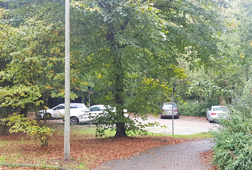 Parkplatz Parkfriedhof P11 - Thumbnail