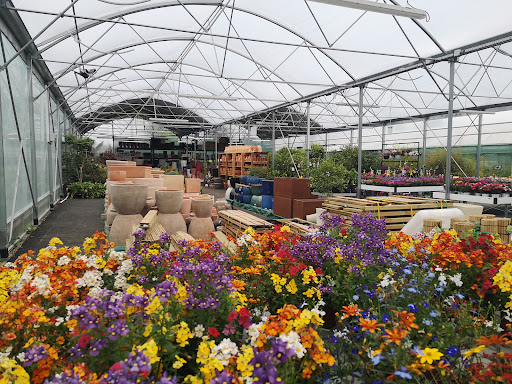 Photo de Jardinerie Sylvie Fleurs, Plantes fleuries, Potager, Poterie, Terreau, Outillage jardin