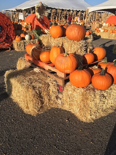 Galloping Goat Pumpkin Patch