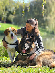 Photo n°15 de VETHIPPO'DOME CLINIQUE VETERINAIRE CHIENS CHATS CHEVAUX 24/24 7/7 SUR APPEL PRÉALABLE ENNEZAT à Ennezat (Clinique vétérinaire)