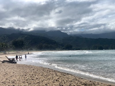 Hanalei Honu Hale