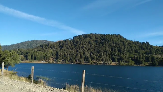 Opiniones de Laguna de Icalma en Temuco - Camping