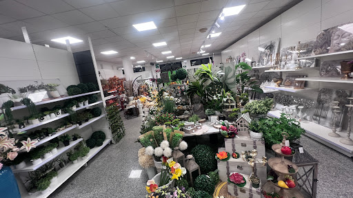 E.HOME store - Visual
