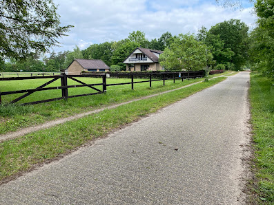 Alpaca wandeling Gelderland Gotinkveldweg 6, 7261 MP Ruurlo, Nederland