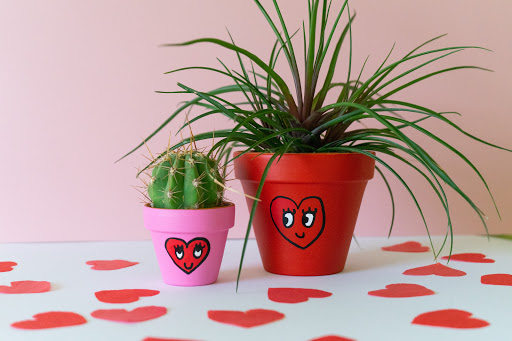 Potted Babe - Visual