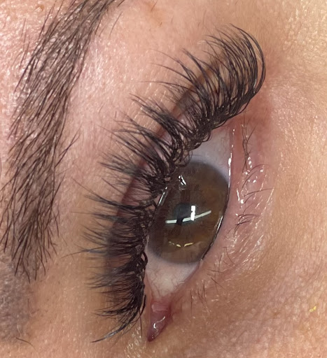 Fabu "LASH" - Visual