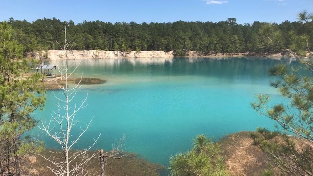 The Blue Lagoon