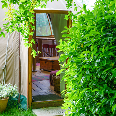 Larkhill Tipis and Yurts by null