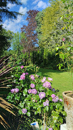 Photo n°28 de Château d'Estrac à Hastingues (Lieu de mariage)