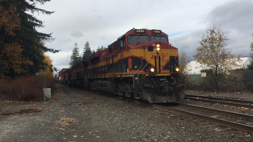 Pitt Meadows - Visual