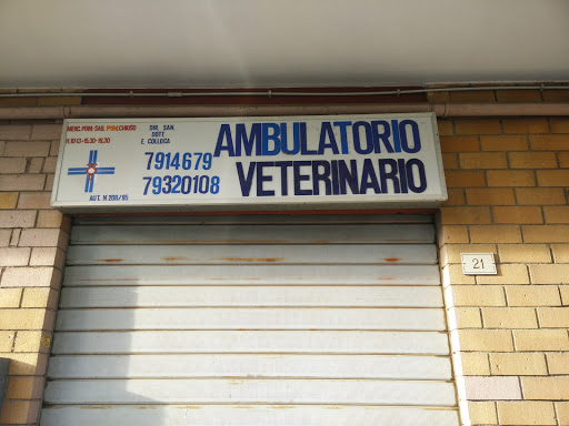 Ambulatorio Veterinario Dr. Elisabetta Colloca - Thumbnail