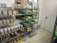 D.collection（オオクワガタカブト販売）