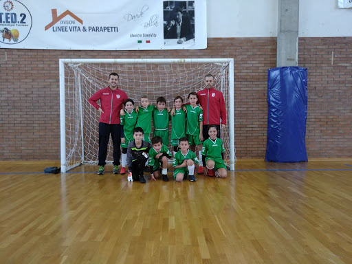 Palestra Luigi Marabini - Thumbnail