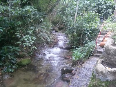 Photos of Sendero Agua Blanca, Bochalema