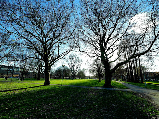 Valkeniersweg park Gallery - Netherlands