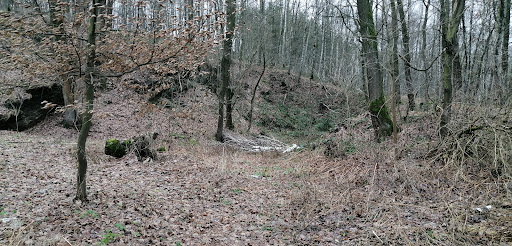 Silbersee / ehem. Steinbrüche
