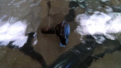 Photos of Mr. Tire