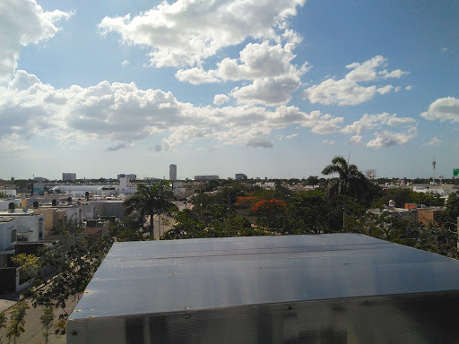 Studies Center of the Americas CELA - Thumbnail