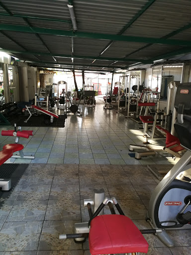 Gym Canaima / Kaly - Thumbnail