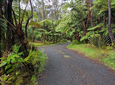 Aloha Crater Lodge and Lava Tube