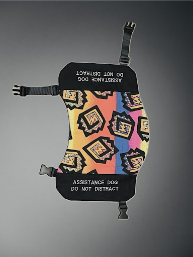 Pawesome Gear - Thumbnail