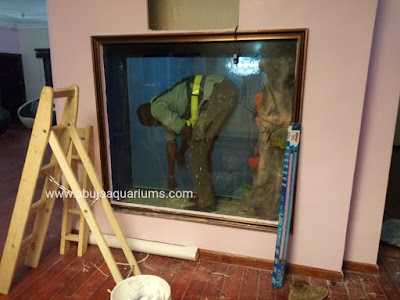 pet-store