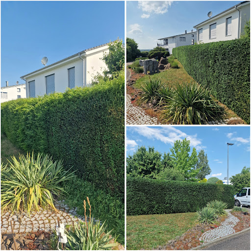 Haus- & Gartenservice K.Bachels - Thumbnail