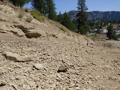 Stonerose Interpretive Center & Eocene Fossil Site