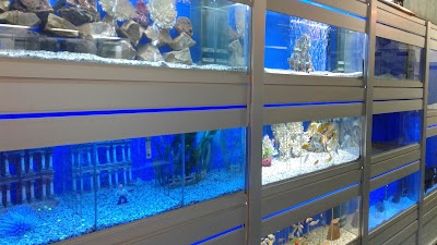 Photos of Telescope Aquarium and Pet Products