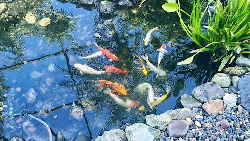 AquaKeepers - Visual