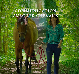 Photo n°1 de Blue Horses - Equicoaching & Magnétisme à Chapaize (Coach particulier)