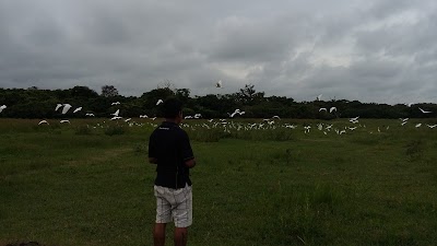 Photos of Kotuaththawala Bird Sanctuary