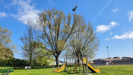 Parc Marius Rubens - Thumbnail