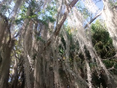 Photos of Juan Maria Cespedes