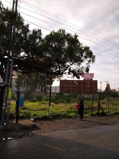 Photos of El tecolote